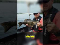 The Best Smallmouth Fishing in Canada?? #fishing #bassfishing #smallmouthbass #fishncanada