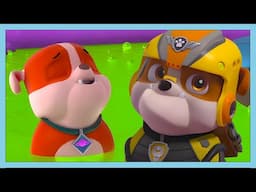 OH NO MY DOUBLE BUDDY! 😮 🚨 | Paw Patrol | WildBrain Kids