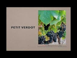 Winecast: Petit Verdot