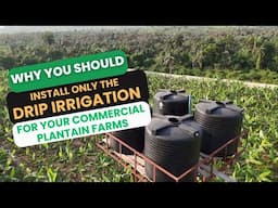 WHY YOU SHOULD INSTALL THE DRIP IRRIGATION SYSTEM/ improving  yield through drip irrigation.