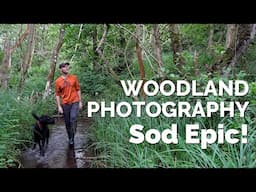 Enjoy Woodland Photography and Sod Epic!