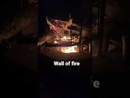 Wall of fire camp fire #bushcraft #survival