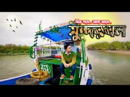 SUNDARBAN TOUR. সুন্দরবনকে এক অন্যরূপে পেলাম এই ভ্রমণে। KOLKATA TO SUNDARBAN TOUR. সুন্দরবন ভ্রমণ।