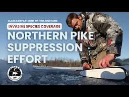 Northern Pike Suppression Effort