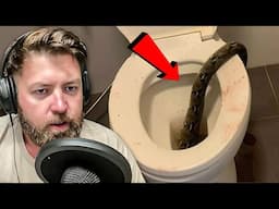 Man Bitten In Balls By Snake While Sitting on the Toilet