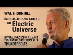 Wal Thornhill: Interdisciplinary Story of the EU | Thunderbolts