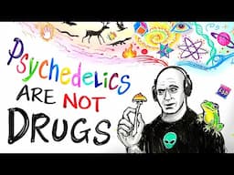 Joe's Epic Rant About Psychedelics - Animated by After Skool