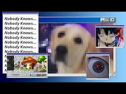 Nobody Knows You're a Dog On the Internet (A Story of Internet Anonymity)