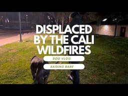 We were displaced by the California Wildfires