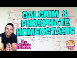 Calcium and Phosphate Homeostasis | Parathyroid & Vitamin D