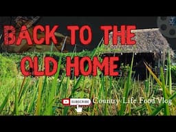 Back To The Old Home - Country Life Food Vlog