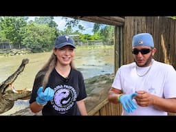 MIAMI EVERGLADES GATOR TOUR and AIRBOAT RIDE!! (Must See in Florida)