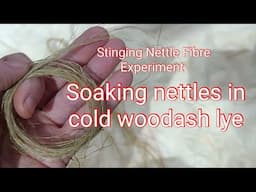 Nettle Fibre Experiment: Cold Woodash Lye