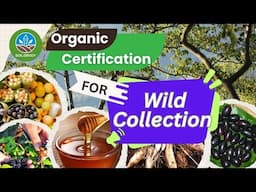 How do you get organic certification for Wild Collection? | Organic Food from Forest