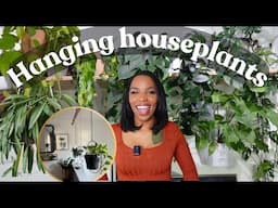 The Best Hanging and Trailing Plants and Display Tips 🪴👌