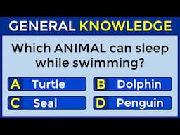 How Good Is Your General Knowledge? Take This 25-question Quiz To Find Out! #challenge 104