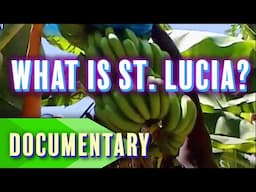 🌴 What is St. Lucia? ☀️ | Full Documentary | Travel Documentary