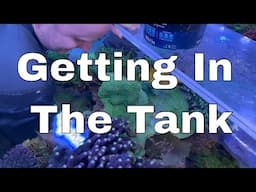 One Of The Best Reef Tanks, You’ve Never Heard Of…