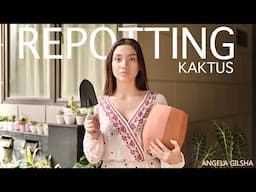 Repotting Cactus | Plant care #Eps4