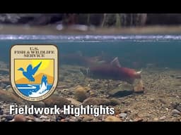 Fieldwork Highlights: Western Washington Fish and Wildlife Conservation Office