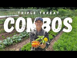 My #1 Strategy for COMPANION PLANTING!!(It's easier than you think..)