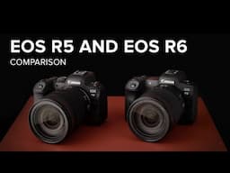 Canon EOS R5 and EOS R6 Comparison