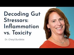 How Inflammation & Toxicity Stress The Gut