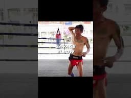 Most Savage Muay Thai Elbow