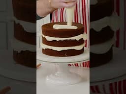 Tips and Tricks for Assembling and Decorating a Layer Cake