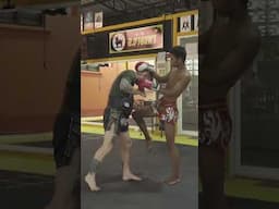 Muay Thai KO Knee techniques option