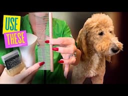 When to BRUSH your Dog and How to Do It Correctly