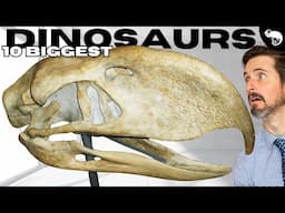 The 10 LARGEST Dinosaurs of the Cenozoic