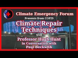 Climate Repair Techniques