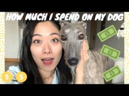 HOW MUCH DOES IT COST TO OWN A DOG: IN NYC AND ELSEWHERE | PET BUDGET | COSTS