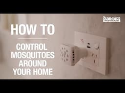 How to control mosquitoes around your home - Bunnings Warehouse