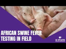 African Swine Fever Testing In Field