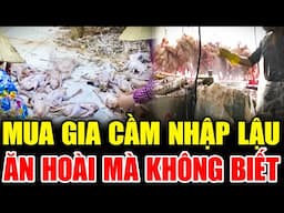 ⚠️ CẢNH BÁO: MUA GIA CẦM NHẬP LẬU - ĂN HOÀI MÀ KHÔNG BIẾT | LỜI CẢNH BÁO THVL | CHUYỆN CẢNH BÁO 2025