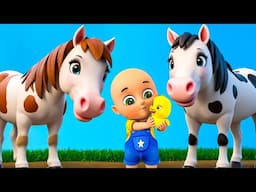 Baby Yankee Doodle Song New Compilation | Animals Farm | Baby Cartoon and Kids Songs | Baby Bobo