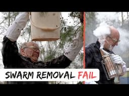 Swarm Removal Fail 2019 - Stay Calm and Be Cool