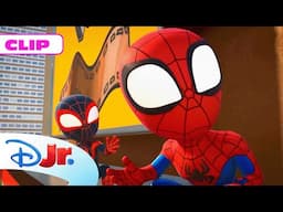 MARVEL SPIDEY Y SU SUPEREQUIPO: Zola y sus clones 🕷️ | @DisneyJuniorES