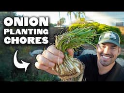 Planting Hundreds of Onions! 🧅🏡