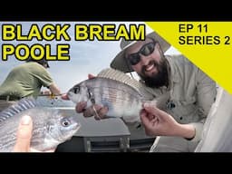 BLACK BREAM BONAZA! : Species Hunt (EPISODE 31)