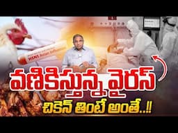 Bird Flu Vires : వణికిస్తున్న వైరస్..చికెన్ తింటే అంతే | AP News | TG News | Wild Wolf Digital