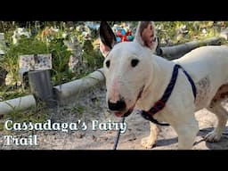 Exploring Cassadaga's Enchanted Fairy Trail with my bull terrier