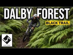 Dalby Forest UCI Worldcup Black Trail