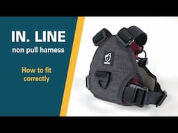 IN . LINE non pull harness | Fitting guide | BAUMUTT