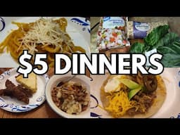 $5 DINNERS IN 2024//BUDGET MEALS FOR LARGE FAMILIES