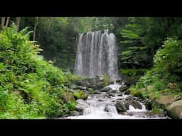 Waterfall Flowing in a Mountain Forest 24/7. Waterfall Sounds, Flowing Water. White Noise for Sleep.