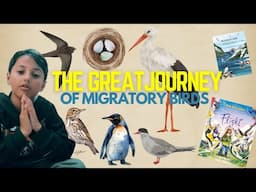 World Migratory Bird Day: Bird Migrations