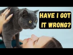 What Your Cat's Attitude Says About Their Care